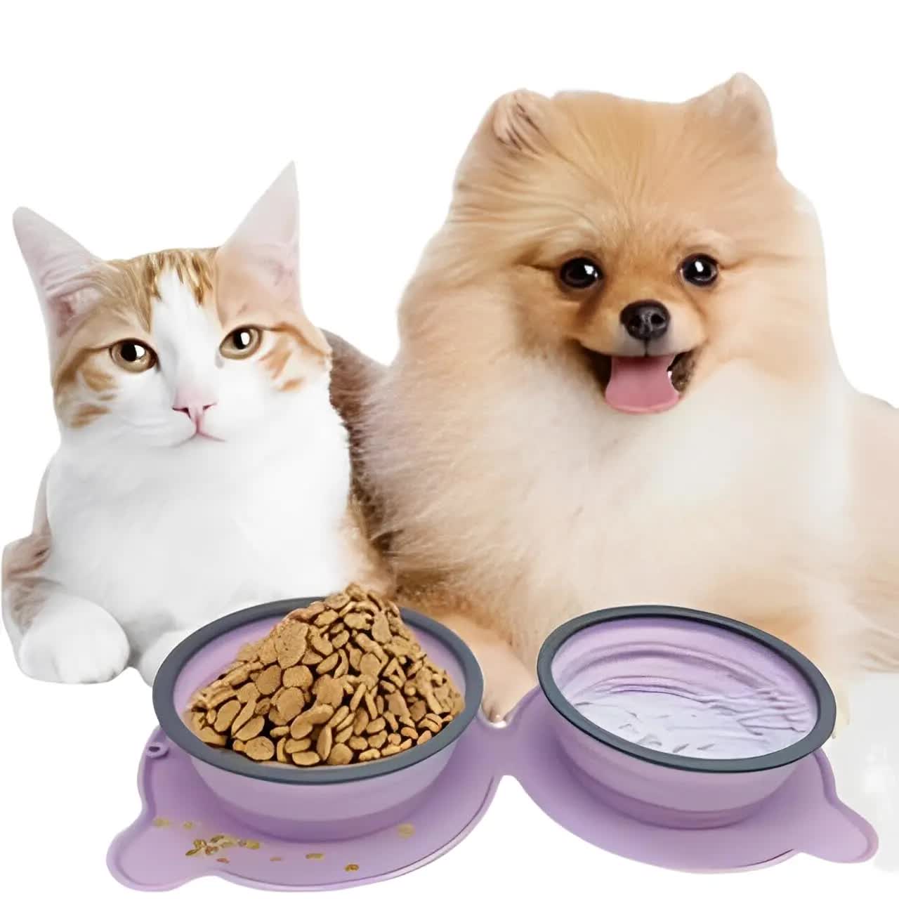Pink Portable Collapsible Pet Bowl Set - Food-Grade Silicone Double Bowl for Dogs & Cats, Anti-Slip & Easy to Clean
