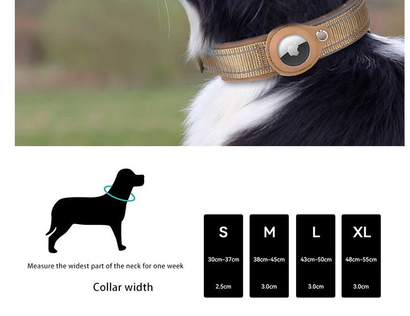 L Blue-green Secure Nylon Dog Collar with Built-in Apple AirTag (not included) Holder Case Pet Tracker