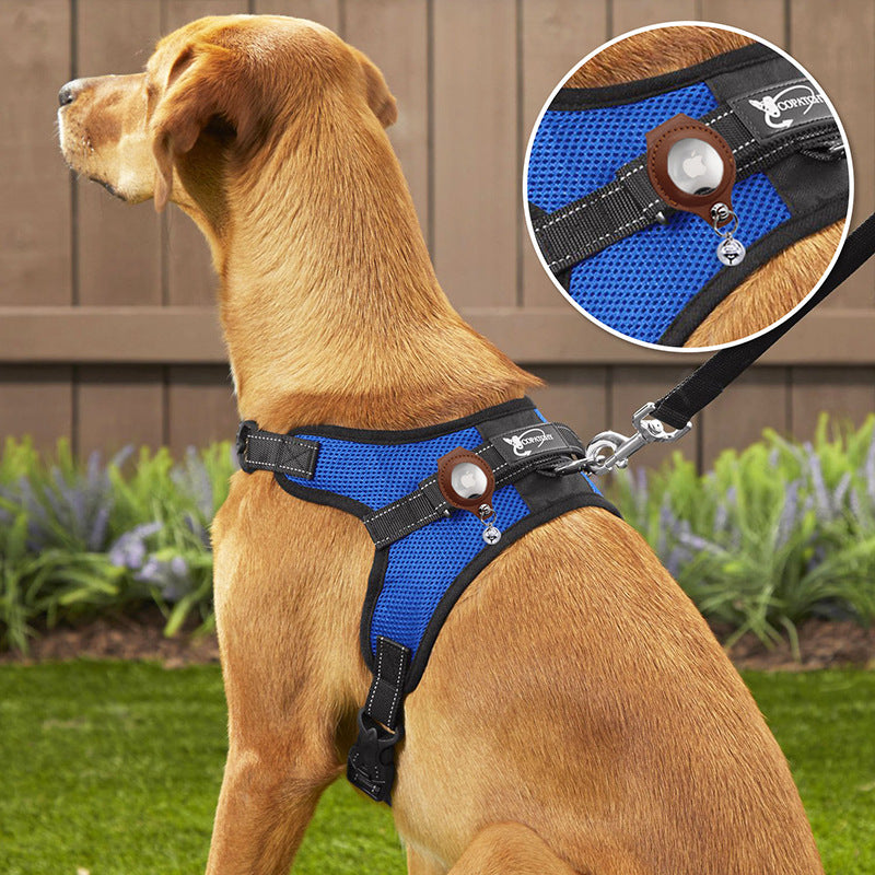 M Blue-green Secure Nylon Dog Collar with Built-in Apple AirTag (not included) Holder Case - Pet Tracker
