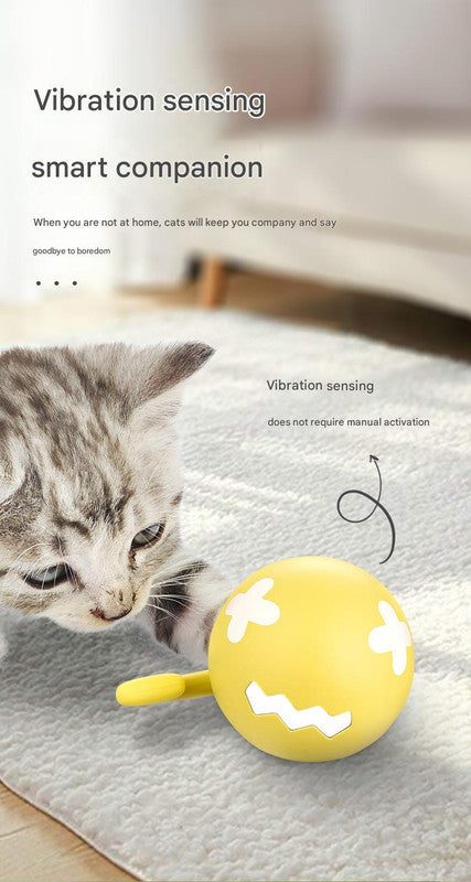 Rechargeable Interactive Cat Toy - Self-Rolling Ball with LED Light,Standard Edition Blue